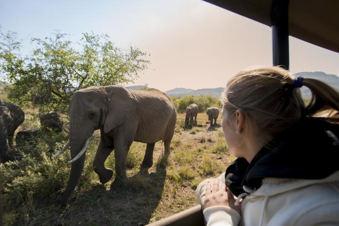  Bakubung Bush Lodge in South Africa / North West, image_3