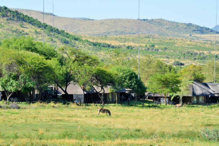  Bakubung Bush Lodge in South Africa / North West, image_1