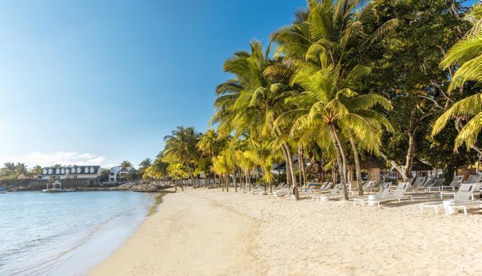  The Ravenala Attitude in IOI / Mauritius, image_1