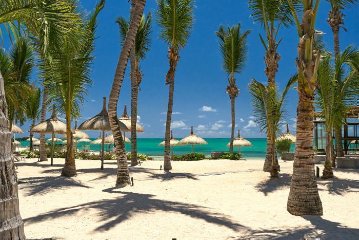  Lagoon Attitude (Adult Only) in IOI / Mauritius, image_3