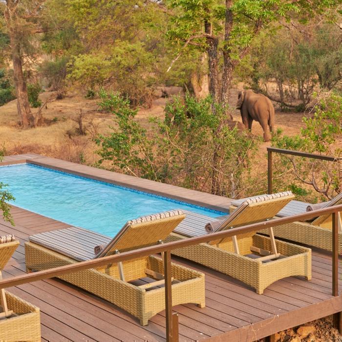  Superior The Wallow Lodge in Africa / Zimbabwe, image_1