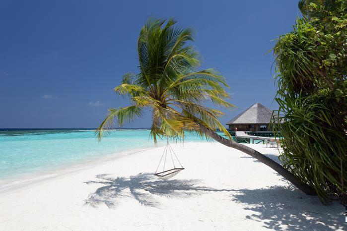  Vilamendhoo Island Resort & Spa in IOI / Maldives, image_2