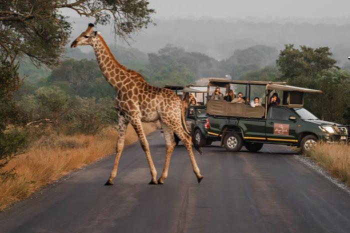  Kruger Gate Hotel in South Africa / Kruger National Park, image_3