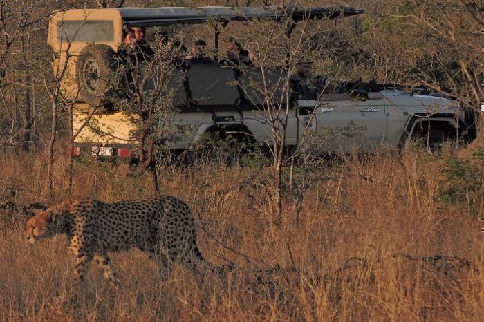  Hamiltons Tented Camp in South Africa / Kruger National Park, image_1