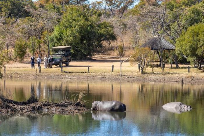  Mabula Game Lodge in South Africa / Limpopo, image_1