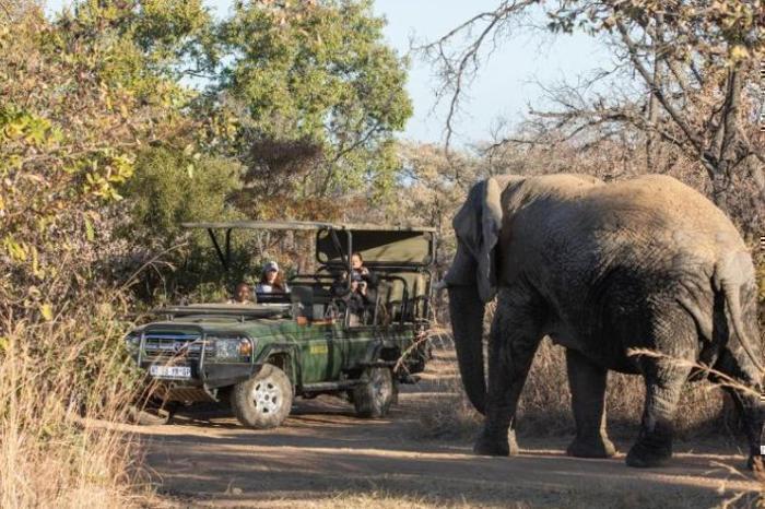  Mabula Game Lodge in South Africa / Limpopo, image_3