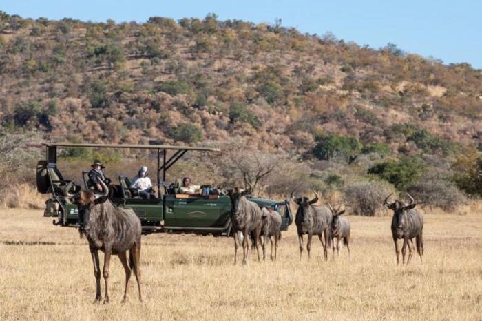  Safari Plains in South Africa / Limpopo, image_2