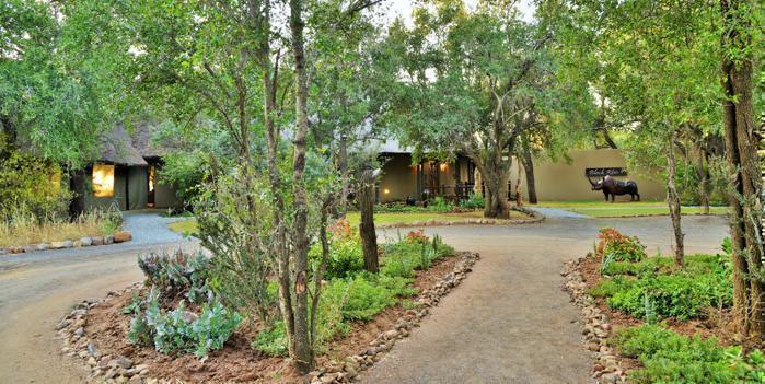  Black Rhino Game Lodge in South Africa / North West, image_2