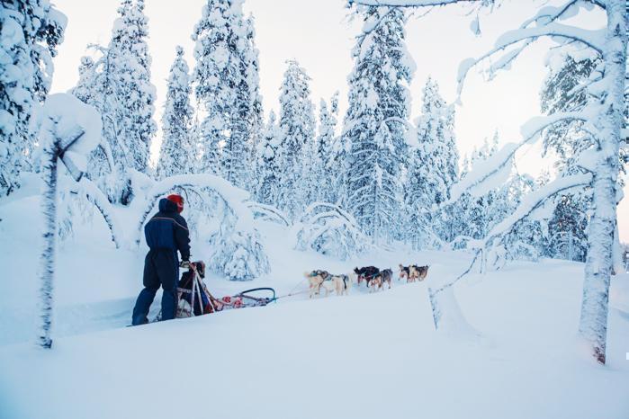 Kakslauttanen Arctic resort, Lapland in Europe / Finland, image_3