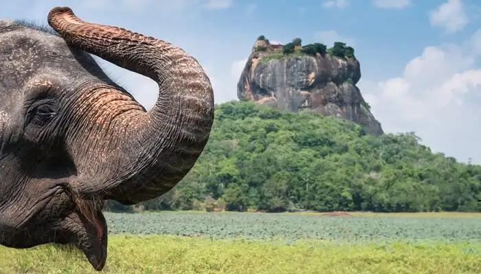  Classic Sri Lanka Experience (7 Nights) in Far East / Sri Lanka, image_2