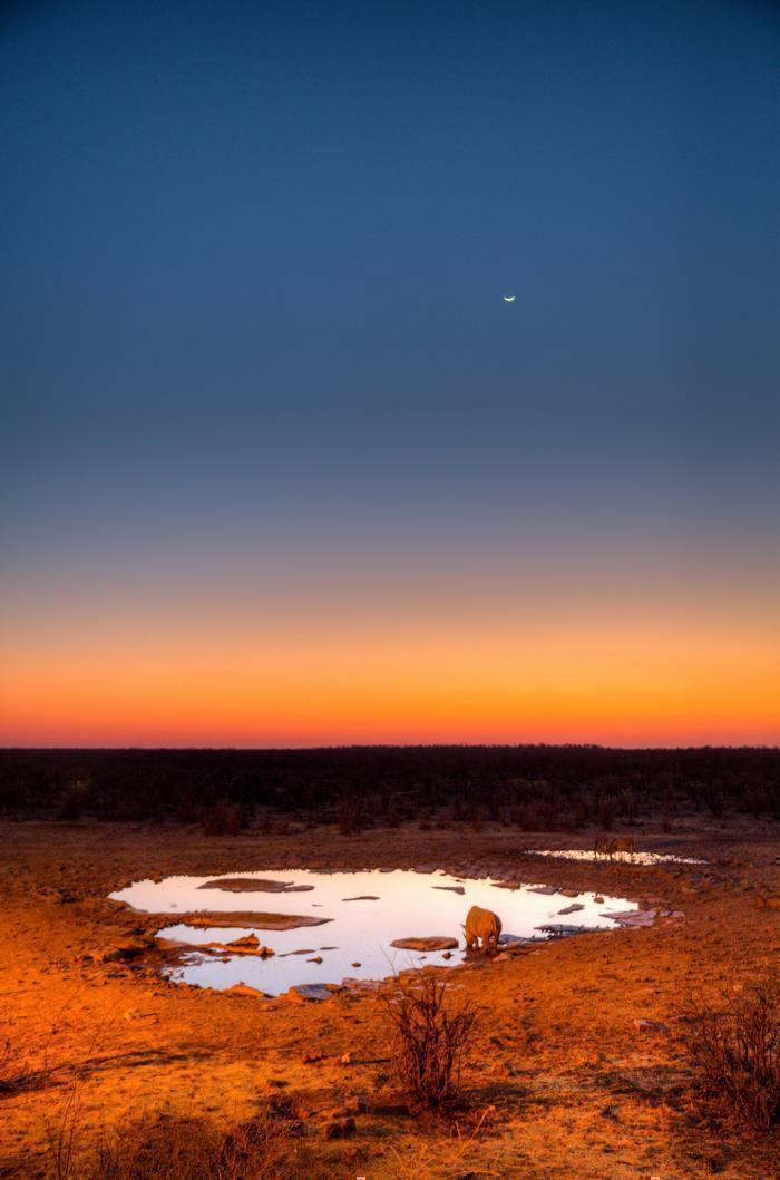  Halali Camp in Africa / Namibia, image_3