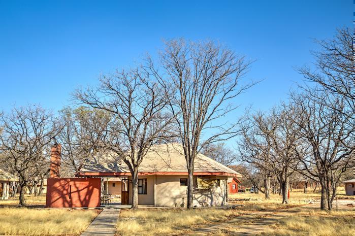  Halali Camp in Africa / Namibia, image_1