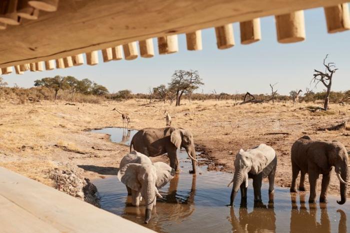  Belmond Savute Elephant Lodge -Chobe National Park Package (3 Nights) in Africa / Botswana, image_2