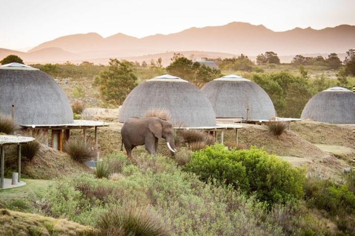  Gondwana Game Reserve in South Africa / Cape Town, image_2