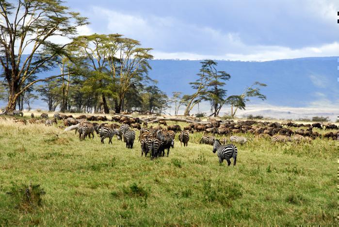7 Days Northern Safari Circuit in Africa / Tanzania, image_1