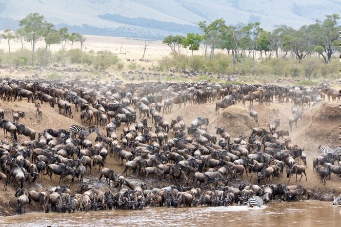 7 Days Northern Safari Circuit in Africa / Tanzania, image_2
