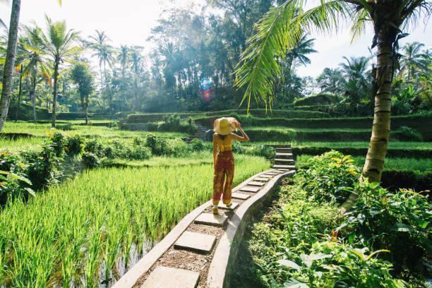  Canggu, Ubud, Seminyak in Far East / Indonesia, image_2