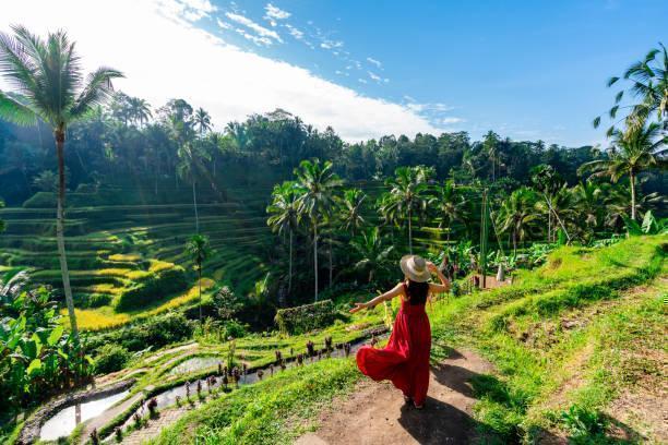 Seminyak & Ubud Holiday in Far East / Indonesia, image_3