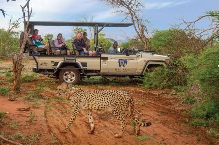  Madikwe River Lodge in South Africa / North West, image_2