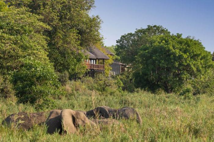  Elephant Walk Retreat in South Africa / Kruger National Park, image_2