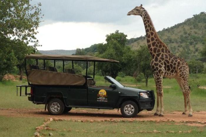  Kedar Heritage Lodge, Conference Centre & Spa Package (2 Nights) in South Africa / North West, image_1