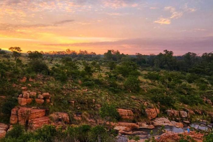  Africamps at Milorho in South Africa / Gauteng, image_3