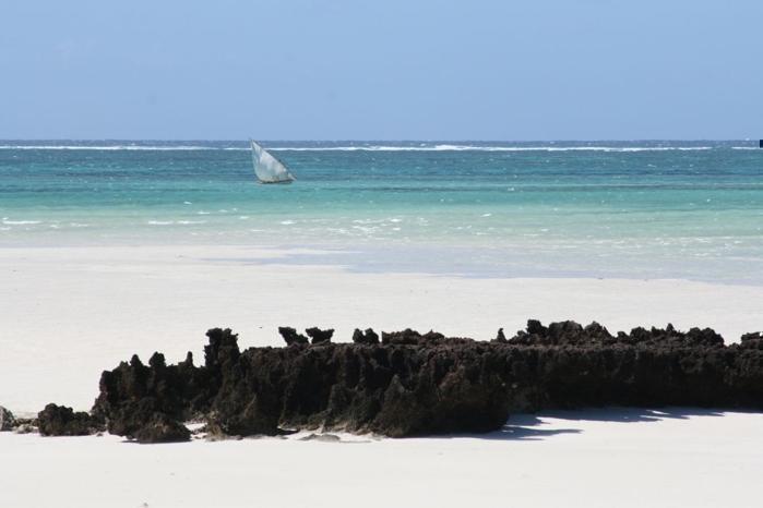  Coral Lodge in Africa / Mozambique, image_2