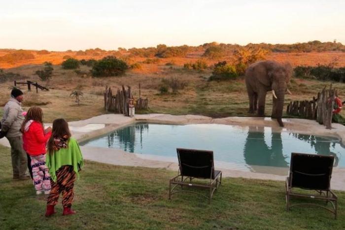  Hlosi Game Lodge in South Africa / Eastern Cape, image_2