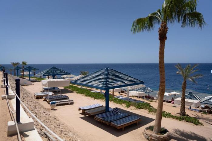  Grand Oasis Resort in Africa / Egypt, image_1