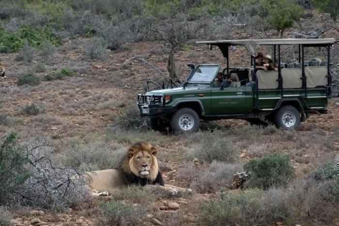  Kuzuko Lodge in South Africa / Eastern Cape, image_3