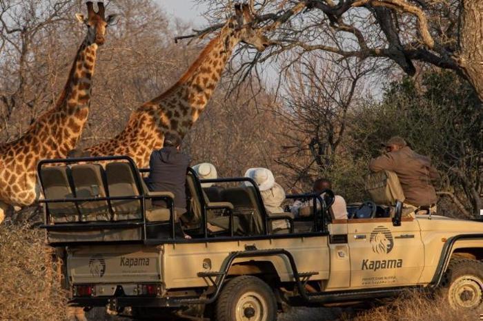  Kapama Private Game Reserve Buffalo Camp in South Africa / Kruger National Park, image_3