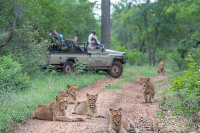  Kapama Private Game Reserve Southern Camp in South Africa / Limpopo, image_2