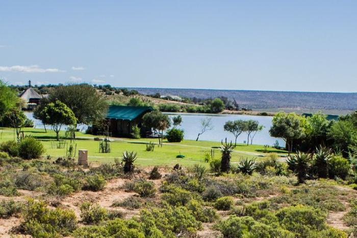  Buffelsdrift Game Lodge in South Africa / Western Cape, image_3