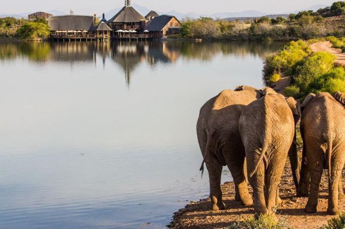  Buffelsdrift Game Lodge in South Africa / Western Cape, image_1