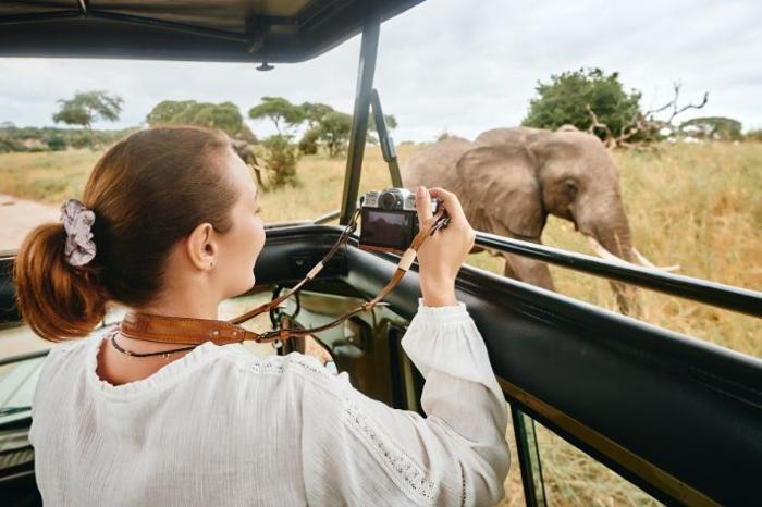 Half Day Game Drive in the Kruger National Park in South Africa / Kruger National Park, image_2