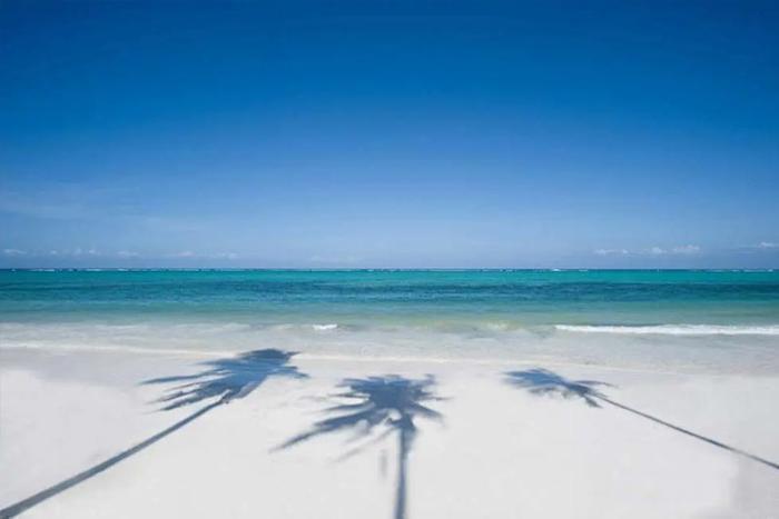  The Palms Zanzibar Package (7 Nights) in IOI / Zanzibar, image_2