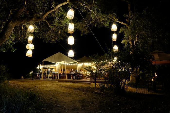 Kruger Untamed Tshokwane River Camp in South Africa / Kruger National Park, image_1