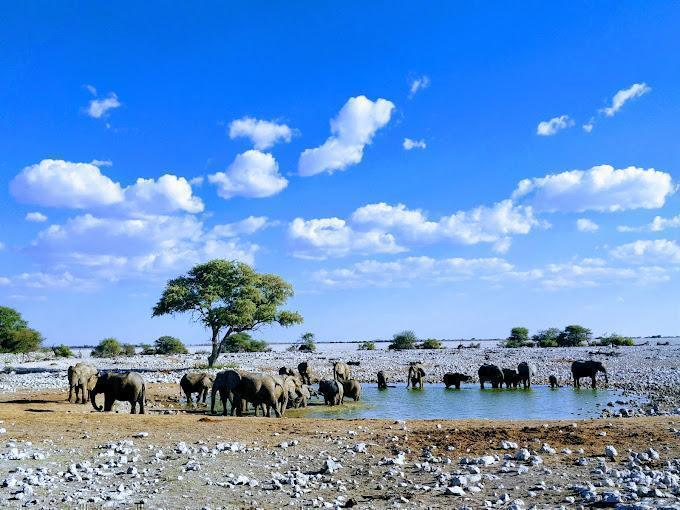 Namibia's Northern Escape Package (4 Nights) in Africa / Namibia, image_2