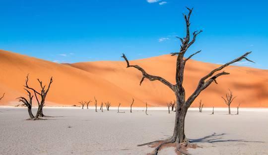 Namibia Golden Sands & Canyon Experience (5 Nights) in Africa / Namibia, image_2