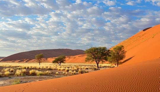 Namibia Golden Sands & Canyon Experience (5 Nights) in Africa / Namibia, image_3