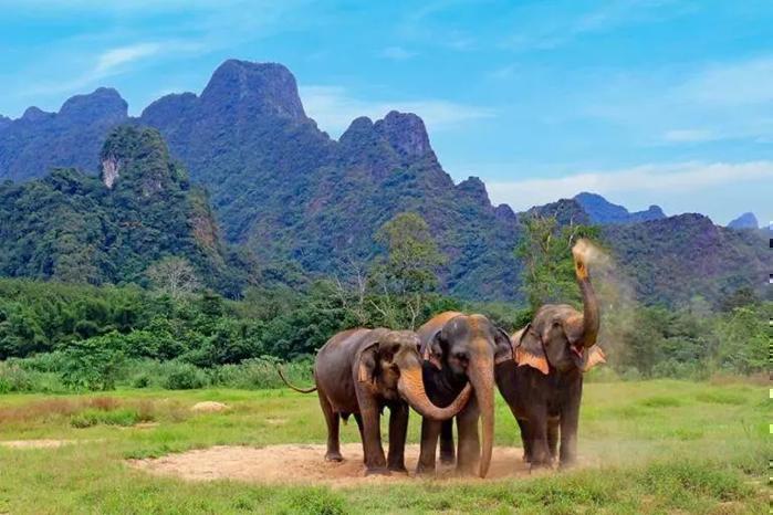 Khao Lak, Elephant Hills & Phuket in Far East / Thailand, image_1