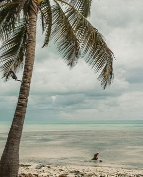  Plus Matemwe Attitude in IOI / Zanzibar, image_3