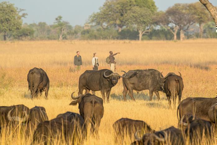 Camp Okavango in Africa / Botswana, image_3