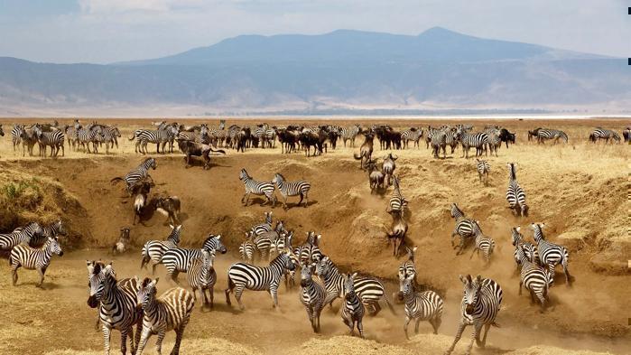 5 Days Northern Safari Circuit in Africa / Tanzania, image_2