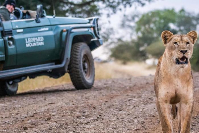  Leopard Mountain Safari Lodge in South Africa / KwaZulu-Natal, image_1