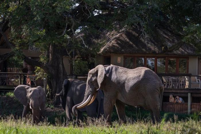  Tintswalo Safari Lodge in South Africa / Kruger National Park, image_2