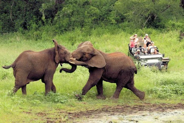  Thanda Safari Private Game Reserve in South Africa / KwaZulu-Natal, image_2