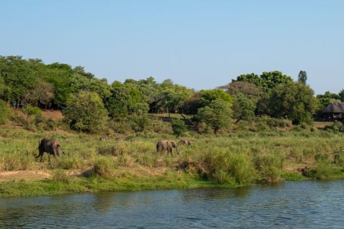 Elephant Walk Tented Camp Safari & Bushwalk in South Africa / Kruger National Park, image_2