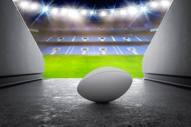 Italy vs South Africa in Europe / Italy, image_3