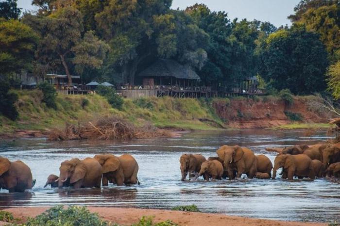 Pafuri Luxury Tented Camp in South Africa / Kruger National Park, image_1